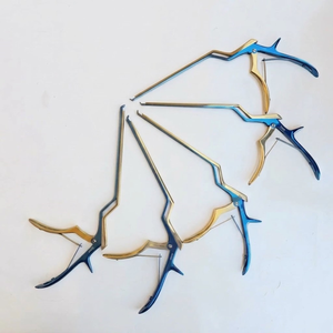Ensemble de 5 rongeurs à baïonnette Kerrison, instruments chirurgicaux orthopédiques allemands pour la colonne vertébrale - Product Image 3