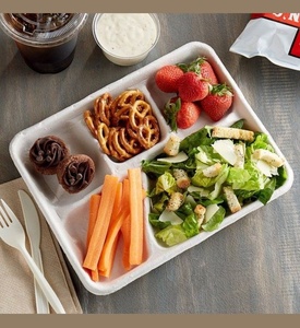 Nouveau Plateau de Restauration Écologique Jetable pour Plats Combinés et Services de Déjeuner, Assiettes en Bagasse à 5 Compartiments pour Événements et Restaurants 2026 - Product Image 1