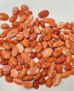 ปะการังแดงญี่ปุ่นธรรมชาติ รูปทรงวงรี คุณภาพดี สีสวย สำหรับทำเครื่องประดับ - Product Image 2