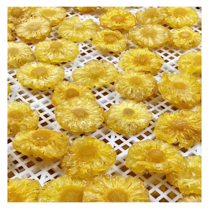 Ananas séché tropical doux à prix abordable, saveur fruitée authentique, pour commandes en gros, distribution et marchés mondiaux - Product Image 4