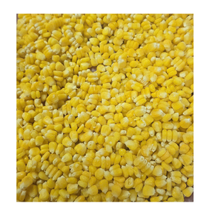 Granos de maíz dulce congelados para la producción de comidas congeladas y suministro para catering - Product Image 6