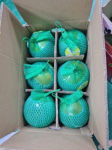 Pomelo Verde Fresco de Vietnam, Dulce y Jugoso, con Pulpa Rosada, Calidad Premium de Exportación, Cítrico, 60-90 Días de Vida Útil, Uso Inmediato - Product Image 5