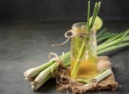 ตะไคร้แห้งสำหรับชาสมุนไพรเพื่อการส่งออก |   ตะไคร้แห้งเวียดนามสำหรับชาสมุนไพร - Product Image 5