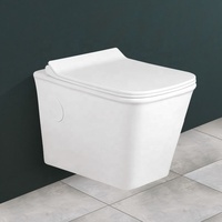 Vente d'usine toilette intelligente en céramique sans réservoir nouveau Design forme de pomme suspendu au mur 485mm L X 350mm W X 350mm H 350mm bol pour salle de bain