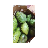 Vers Soursop fruit