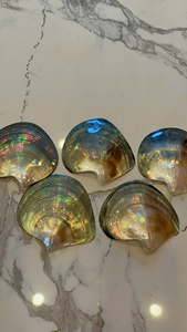 จานไข่มุกพรีเมียมสำหรับเครื่องใช้บนโต๊ะอาหารสุดหรูและงานทำเครื่องประดับ บรรจุกล่อง จากเวียดนาม - Caryln - Product Image 5