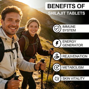 OEM Premium Quality Shilajit Tablets 500mg Organic Himalayan Shilajit Dry <b>Drops</b> Rich in Fulvic <b>Acid</b> for Energy & Stamina Support - Product Image 4