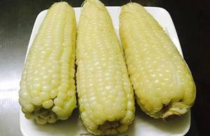 Frozen Boiled Sticky Rice Corn Whole Cob Ready to Eat Export Quality - Product Image 6