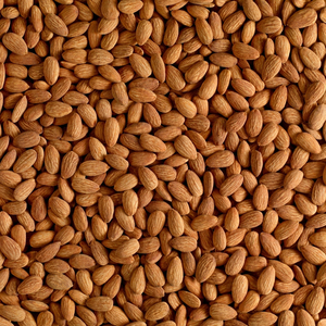 Amandes crues biologiques avec une teneur en humidité inférieure à 5% Amandes délicieuses pour la vente en gros et l'exportation - Product Image 6