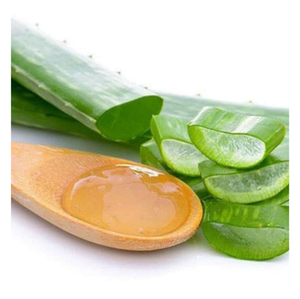 BEST CHOICE | Fresh Aloe Vera Jelly for Eating | Delicious and Nutritious | Perfect for Beverages - Product Image 5