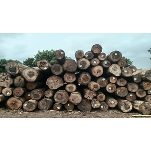 ไม้ซุงเนื้ออ่อนคุณภาพส่งออก ไม้เนื้อแข็งธรรมชาติ เหมาะสำหรับจัดสวน ทำรั้ว และใช้ในงานเกษตร - Product Image 1