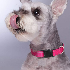 ปลอกคอสุนัขหนังจระเข้ลายนูนคุณภาพระดับโรงงาน OEM แบรนด์ดัง รับประกันคุณภาพ - Product Image 6