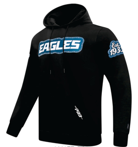 <b>Black</b> Philadelphia Eagle Hoodies Embroidery Digital Printing Sky Blue Cotton <b>Fleece</b> Unisex Winter Zipper-Up Breathable Quick Dry - Product Image 4