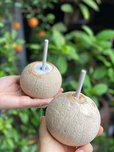 เนื้อมะพร้าวแช่แข็งทั้งหมดสำหรับการส่งออกผลิตจากเวียดนาม - Product Image 6