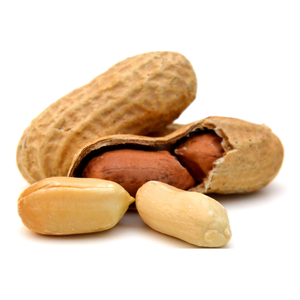 ถั่วลิสงอินเดียพรีเมียม แบบดิบ ปอกเปลือก ขายส่งจำนวนมาก พร้อมจัดส่ง - Product Image 5