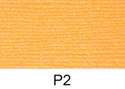 P2
