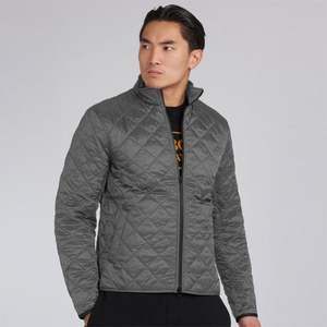 Veste matelassée légère pour homme avec col montant et fermeture éclair, en polyester multicolore, personnalisable avec logo OEM, idéale pour l'hiver - Product Image 1