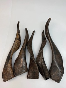 Cuerno de Cabra Pulido con Acabado Natural, Ecológico, Rústico, Nuevo, de Alta Calidad para Decoración y Manualidades - Product Image 6