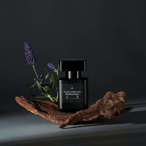 Eau de Parfum Premium Vietnam Dark Forest Fresh Haute Qualité Longue Durée NOTES MEKONG Sporty Apple Wood 30ml Parfum de Luxe pour Homme - Product Image 2