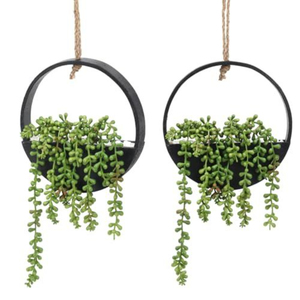 Ensemble de jardinières suspendues en métal, support à plantes moderne en fer noir, pots de fleurs d'intérieur, décoration de la maison, jardin vertical, utilisation au bureau - Product Image 6
