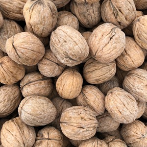 Nueces Crudas de Bambú Orgánico de Ucrania, Frescas y Limpias con Alto Valor Nutricional, Llenas de Bienestar Natural - Product Image 5