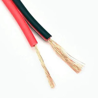 Câble audio rouge et noir, isolation PVC, câble plat double ruban 12/14/16AWG 2*1.5mm/2.5mm, fil de cuivre torsadé/CCA pour Dubaï