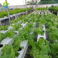 Système hydroponique NFT horizontal commercial en PVC avec canaux de culture à haut rendement pour laitues, herbes aromatiques, légumes-feuilles, garantie 1 an