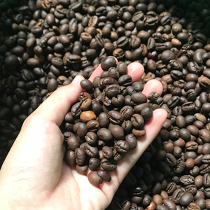 เมล็ดกาแฟคั่วแบบขายส่ง กาแฟออร์แกนิก กาแฟเวียดนาม พร้อมฉลากส่วนตัวและออกแบบถุงได้ตามต้องการ - Product Image 1