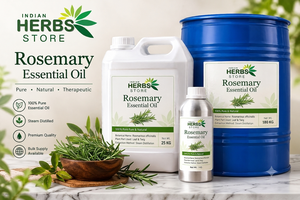 Indian Herbs Store 100% Pure Rosemary Essential Oil Floral Natural Steam Distilled Therapeutic - Product Image 1