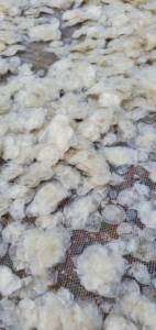 Écailles de poisson séchées de qualité supérieure en gros, naturelles, blanches, pour bar et tilapia, riches en collagène, fournisseur en vrac du Vietnam / ANNA DO VILACONIC - Product Image 4