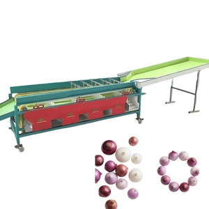 Clasificador de Tomates <span class=keywords><strong>Cherry</strong></span> y Arándanos por Tamaño - Máquina Clasificadora de Frutas Tipo Cinta Transportadora - Product Image 1