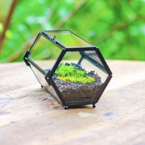 Wholesale Modern Black Metal <b>Frame</b> Mini Glass <b>Plants</b> Terrarium Tabletop Vase with Breathing Holes - Product Image 2