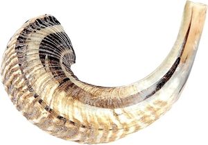 Auténtico Cuerno de Shofar, Instrumento Musical Judío Hecho a Mano, Asequible, para Oración, Rituales, Prácticas Espirituales y Ceremonias - Product Image 5