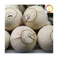 Noix de coco jeune et fraîche |   Forme de diamant |   Ouverture facile |   Idéal pour les cafés de plage et les complexes hôteliers |   Vente en gros au Vietnam