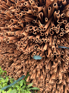 High Quality Vietnam <b>Cinnamon</b> Cassia Rich Flavor For Export Market Use - Product Image 4