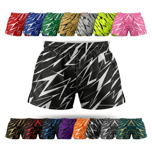Fabricant d'équipements de boxe et de shorts de Muay Thai, acceptant les commandes OEM/ODM, shorts d'entraînement légers personnalisés pour la lutte MMA. - Product Image 1