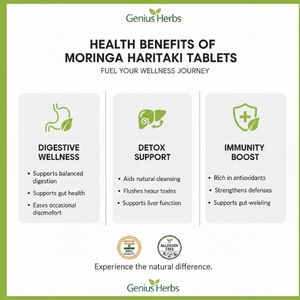 <b>Moringa</b> Haritaki Pressed <b>Tablets</b> Natural Leaf and Fruit Extract Rich Antioxidant Herbal Product Daily Wellness Vitality - Product Image 5