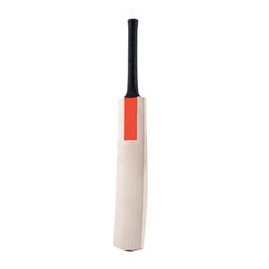 Ensemble de cricket personnalisé de qualité professionnelle, batte de cricket en bois de saule anglais de haute qualité - Product Image 1