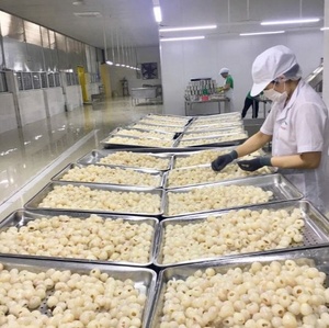 LYCHEES EN CONSERVE DE QUALITÉ D'EXPORTATION EN SIROP POUR LES MARCHÉS INTERNATIONAUX - Product Image 5