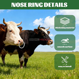 Anillo Nasal de Acero Inoxidable con Bloqueo para Ganaderos y Veterinarios, Herramienta Duradera y Segura para el Manejo de Ganado, Libre de Rebabas, Certificado CE - Product Image 3