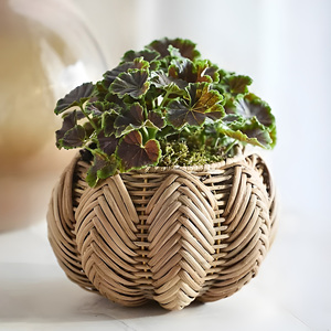Decorative pots <b>for</b> plants & <b>flowers</b> excellent quality woven rattan plant pot greenery <b>basket</b> planter - Product Image 1