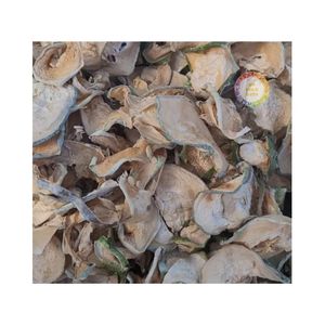 ชาแตงโมฤดูหนาวอบแห้ง รสหวานนุ่ม แตงโมฤดูหนาวหั่นเป็นชิ้นๆ ตากแดด ขายส่ง ราคาดีที่สุดจากเวียดนาม - Product Image 1