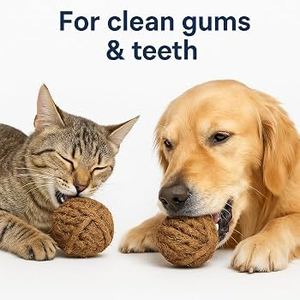 Jouet à mâcher pour chien en fibre de coco naturelle de haute qualité, durable, écologique, vente en gros d'usine - Product Image 5