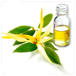 Huile Essentielle Naturelle d'Ylang-Ylang en Gros (OEM) – Qualité Thérapeutique, Huile Aromatique Florale pour Diffuseur, Massage, Soins de la Peau et Croissance Capillaire - Product Image 2