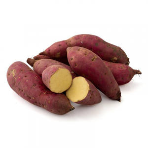 Patate douce congelée de qualité supérieure 100% naturel biologique du Vietnam Service OEM et exportation en vrac par 99 Gold Data Manufacturer - Product Image 1