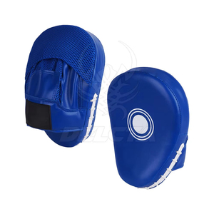 Vente en ligne en stock : Focus Pads professionnels, autres produits de boxe, Focus Pads - Product Image 1