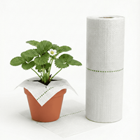 Film microporeux blanc imperméable et respirant anti-mauvaises herbes pour la prévention de la pourriture racinaire, idéal pour les serres et les pépinières