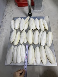 Farine d'os de seiche naturelle pour oiseaux |   Aliments secs pour animaux, volailles et bétail |   Marque VietDelta Durée de conservation de 3 ans 13% d'humidité - Product Image 4
