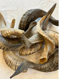 Artesanía de Cuerno de Oveja Natural Tallada de SANIYA HANDICRAFT, Artesanía Folclórica, Tamaño Pequeño, Alta Calidad - Product Image 6