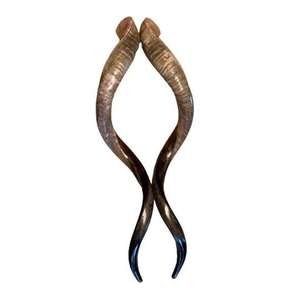 Échantillon sonore de Shofar très demandé et tendance, vidéo d'entraînement au Shofar, Shofar près de chez moi, Acheter - Product Image 2